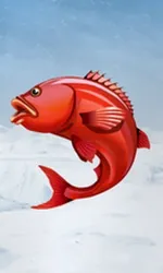 Ice Fishing
